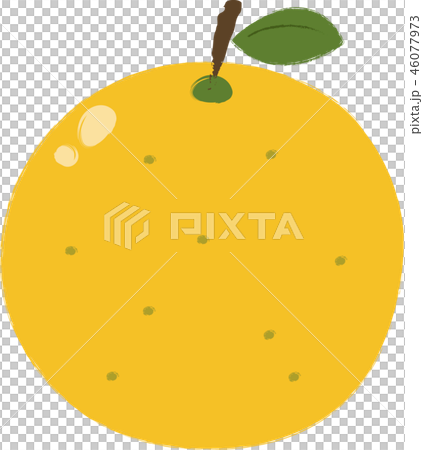 Citron Citron 46077973