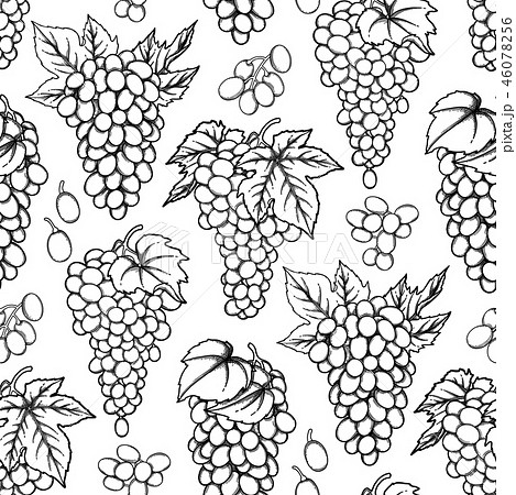 Graphic seamless pattern of vector grapes bunches Graphic seamless pattern of vector grapes bunches 46078256
