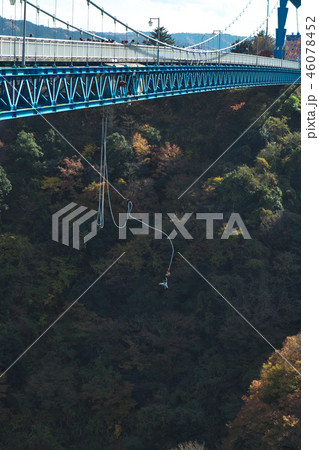 吊橋からバンジージャンプ 46078452