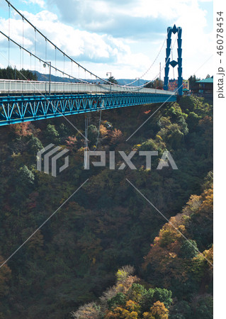 吊橋からバンジージャンプ 46078454