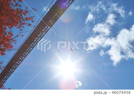 吊橋からバンジージャンプ 46078456