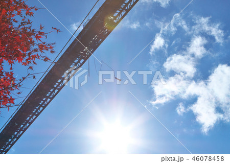 吊橋からバンジージャンプ 46078458