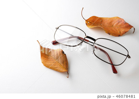 おじいちゃんの眼鏡 46078481