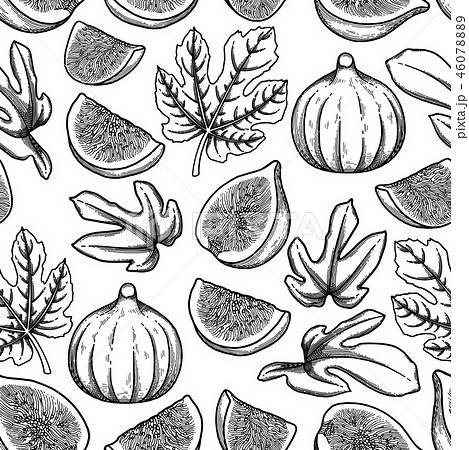 Seamless Pattern Of Fig Fruits And Leaves のイラスト素材 46078889 Pixta