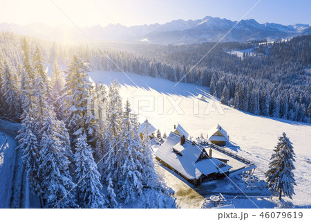 Winter landscape frosty forest and mountains 46079619