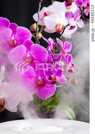 Humidifier in dark room with beautiful flowers 46080515