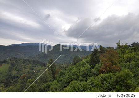Mountains covered with green trees 46080928