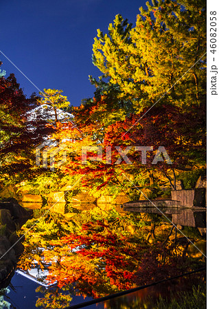 愛知県 名古屋市 徳川園の紅葉夜景 愛知県 名古屋市 徳川園の紅葉夜景 46082058