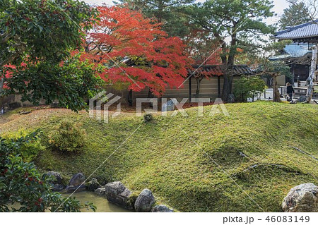 高台寺の紅葉 46083149