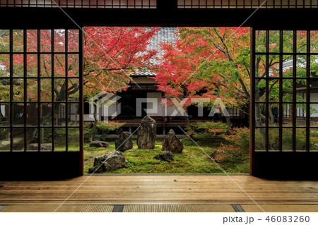 建仁寺 紅葉 建仁寺 紅葉 46083260