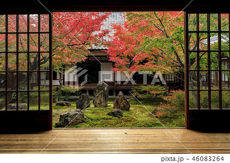 建仁寺　紅葉 46083264