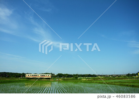 竜ケ崎線の夏 竜ケ崎線の夏 46083586