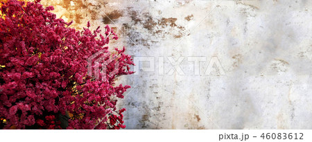 Red flower on concrete wall background. Red flower on concrete wall background. 46083612