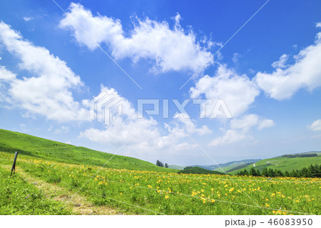 長野県　車山高原からみた風景　ニッコウキスゲ 46083950