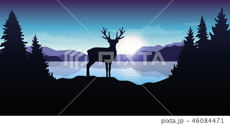 reindeer by the lake at sunrise blue wildlife nature landscape 46084471