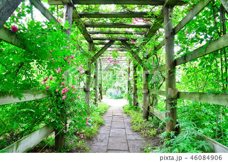 二宮家（新潟県） 46084906