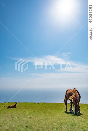 隠岐の島　西ノ島町 46085291