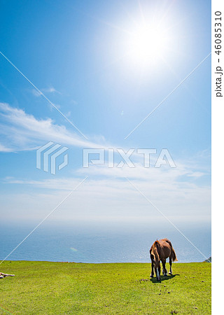 隠岐の島　西ノ島町 46085310