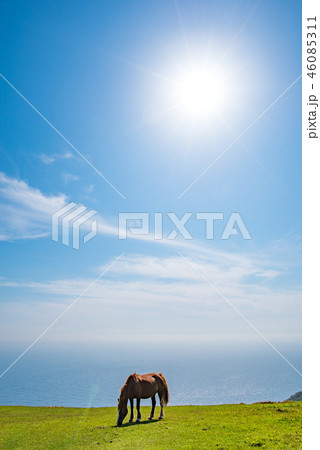 隠岐の島　西ノ島町 46085311