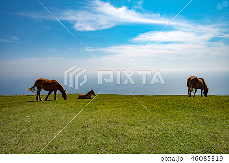隠岐の島　西ノ島町 46085319