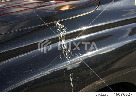 鳥のフンが付いた車のボディー 46086627