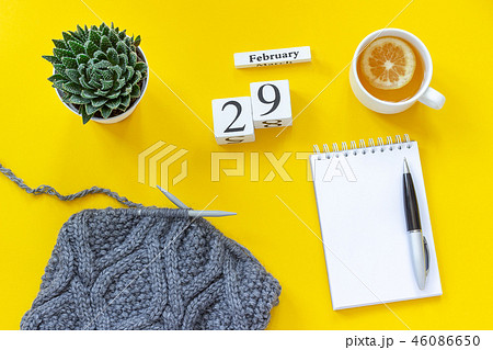 Wooden cubes calendar February 29th. Cup of tea with lemon, empty open notepad for text. Pot with Wooden cubes calendar February 29th. Cup of tea with lemon, empty open notepad for text. Pot with 46086650