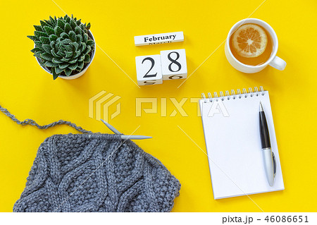 Wooden cubes calendar February 28th. Cup of tea with lemon, empty open notepad for text. Pot with Wooden cubes calendar February 28th. Cup of tea with lemon, empty open notepad for text. Pot with 46086651
