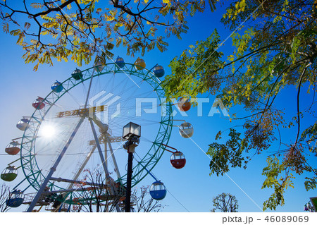 あらかわ遊園の紅葉　カラスザンショウの紅葉とセンダンの木の実　光芒　平成30年11月30日　 46089069