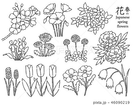 春の花 白黒セットのイラスト素材 46090219 Pixta