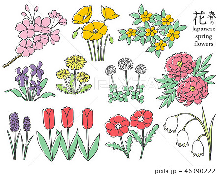 春の花 セットのイラスト素材