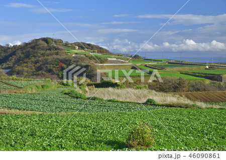 神奈川で一番低い山 岩堂山 【初冬】 三浦市最高峰 神奈川で一番低い山 岩堂山 【初冬】 三浦市最高峰 46090861