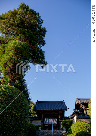 専修寺　参拝 46091489