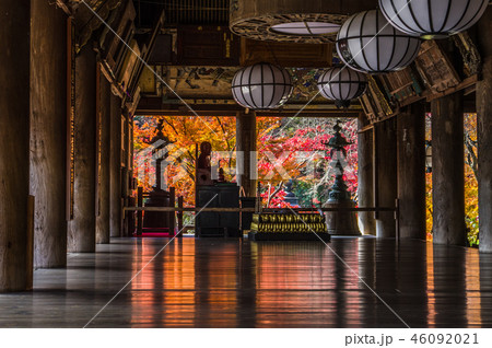 大和國長谷寺の床もみじ 46092021