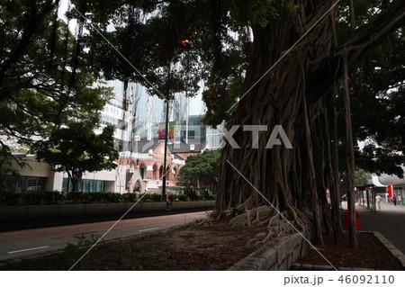 香港の街風景 46092110