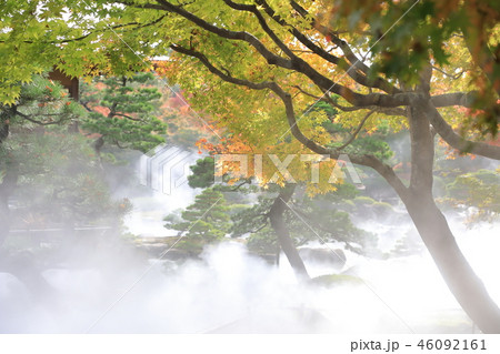 秋の由志園 46092161