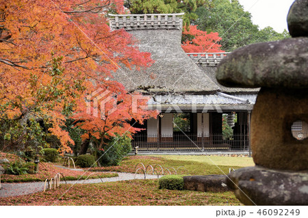 吉城園 吉城園 46092249