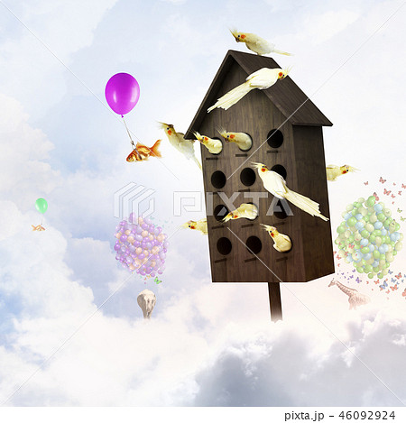 Apartments for friendly living Apartments for friendly living 46092924