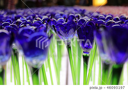 Glassy  flower at xmas lighting 46093197