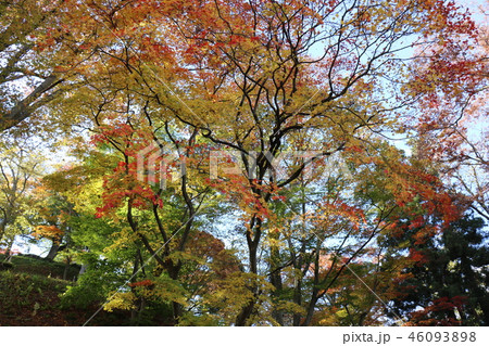 秋の猪苗代の土津神社 46093898