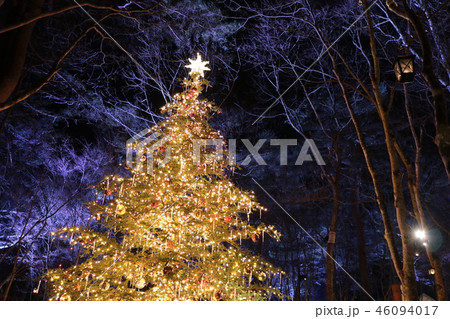 軽井沢　クリスマスツリー　クリスマス　森　灯 46094017