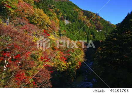 紅葉の奥多摩むかし道 しだくら橋からの風景 紅葉の奥多摩むかし道 しだくら橋からの風景 46101708