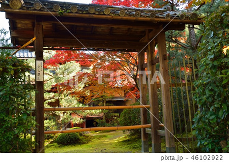 京都の寺院　酬恩庵一休寺の紅葉 46102922