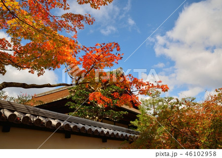 京都の寺院 酬恩庵一休寺の紅葉 京都の寺院 酬恩庵一休寺の紅葉 46102958