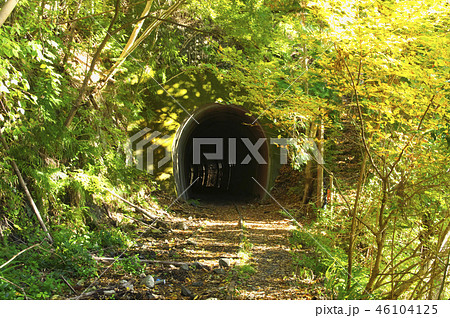 紅葉のむかし道　廃線跡　トンネル 46104125