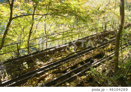 紅葉のむかし道　廃線跡 46104269