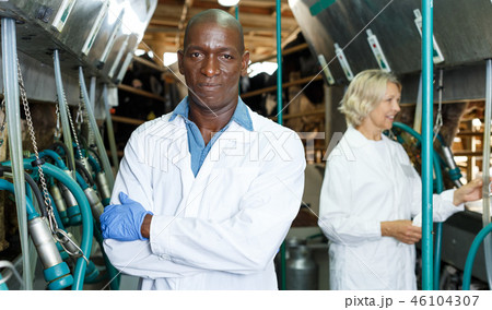 Man working at milking line 46104307