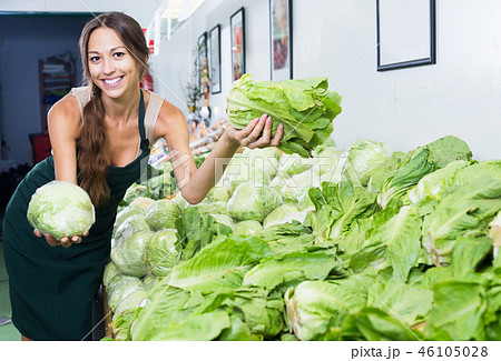Female seller wearing apron holding fresh cabbage head Female seller wearing apron holding fresh cabbage head 46105028