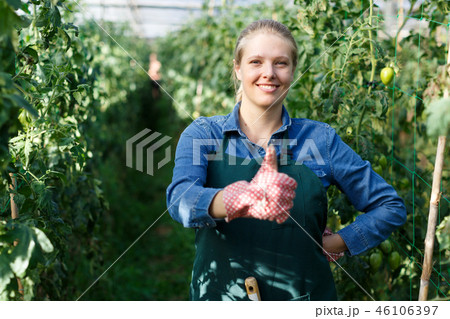 Female horticulturist in gloves standing near tomatoes seedlings in hothouse Female horticulturist in gloves standing near tomatoes seedlings in hothouse 46106397