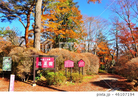 箱根小涌園紅葉名所の蓬菜園 46107194