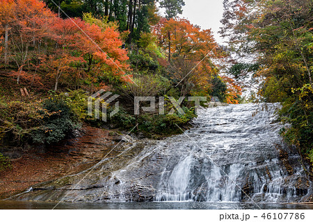 養老渓谷3 46107786